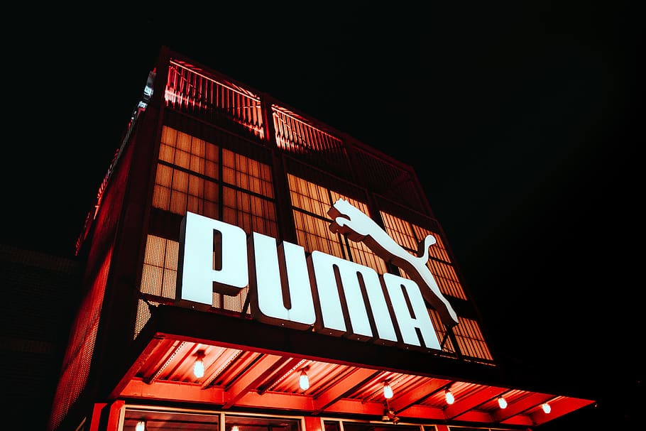 Puma logo, interior design, indoors, meal, food, alphabet, text