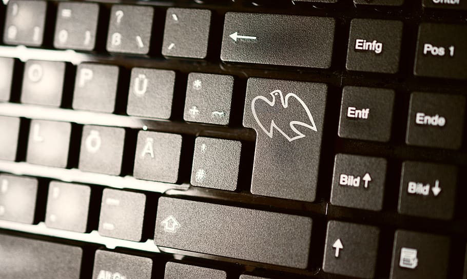 keyboard, computer, peace dove, harmony, symbol, input, click HD wallpaper