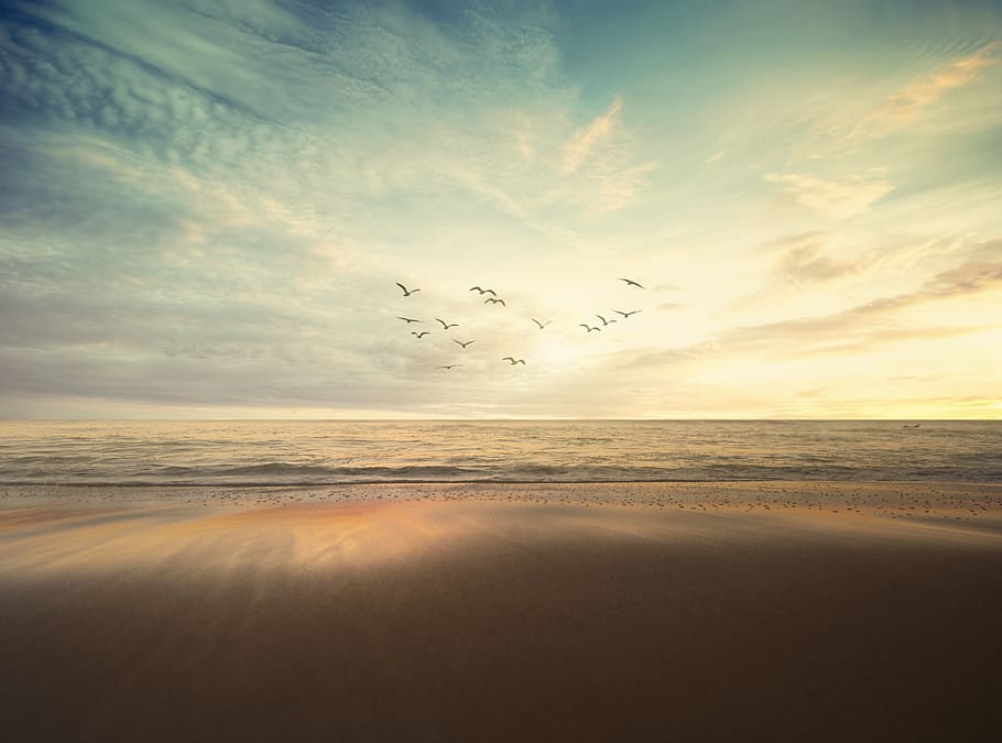 sea, ocean, nature, waves, adventure, travel, sky, clouds, birds HD wallpaper