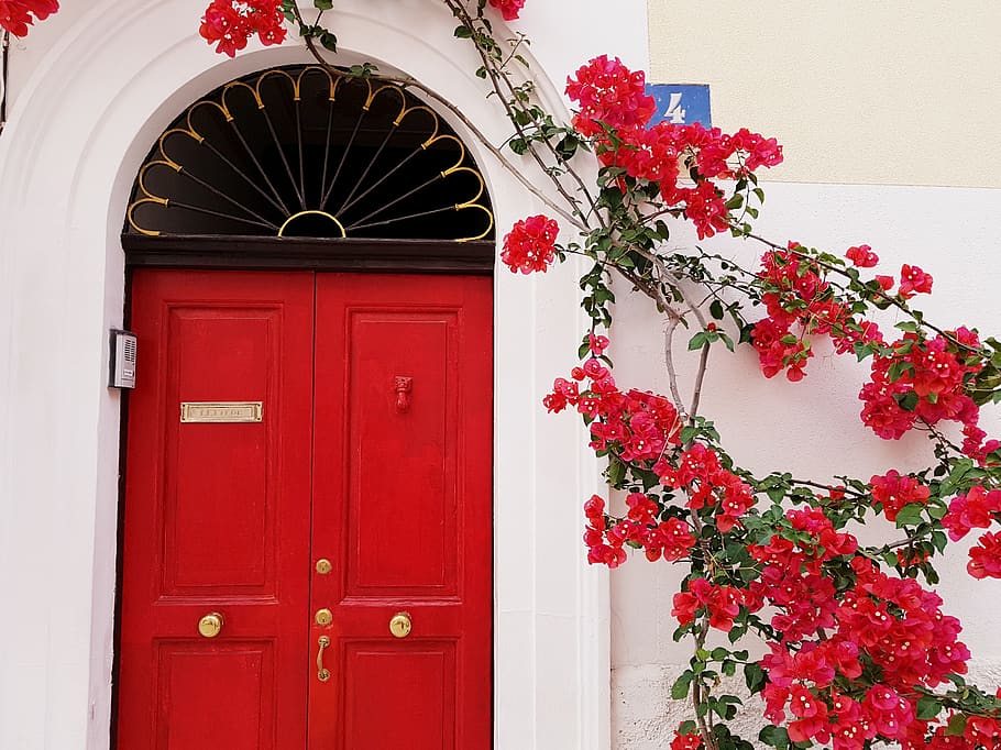 spring, flowers, red, entrance, door, plant, architecture, built structure HD wallpaper