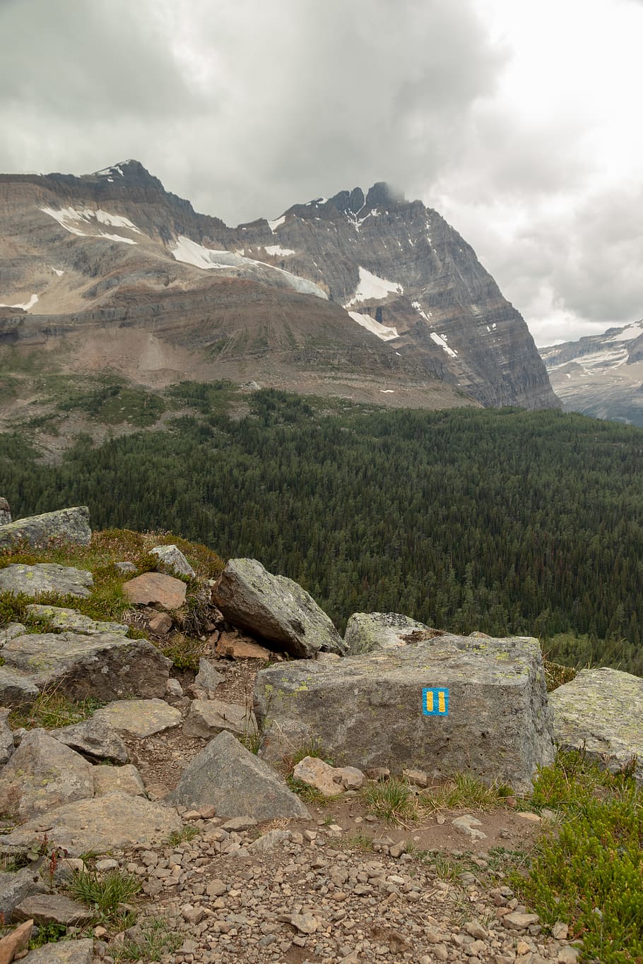 canada, mount schaffer, cliff, trail, mountain, forest, hiking HD wallpaper