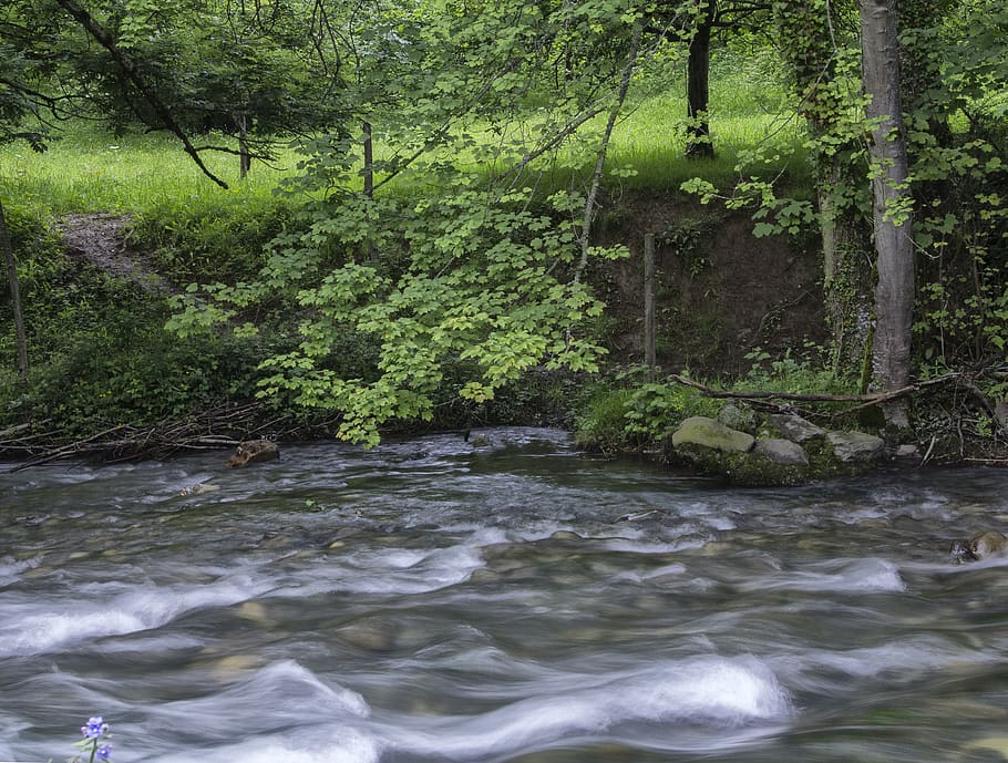 spain, ruayer, trees, plant, water, forest, flowing water, beauty in nature HD wallpaper