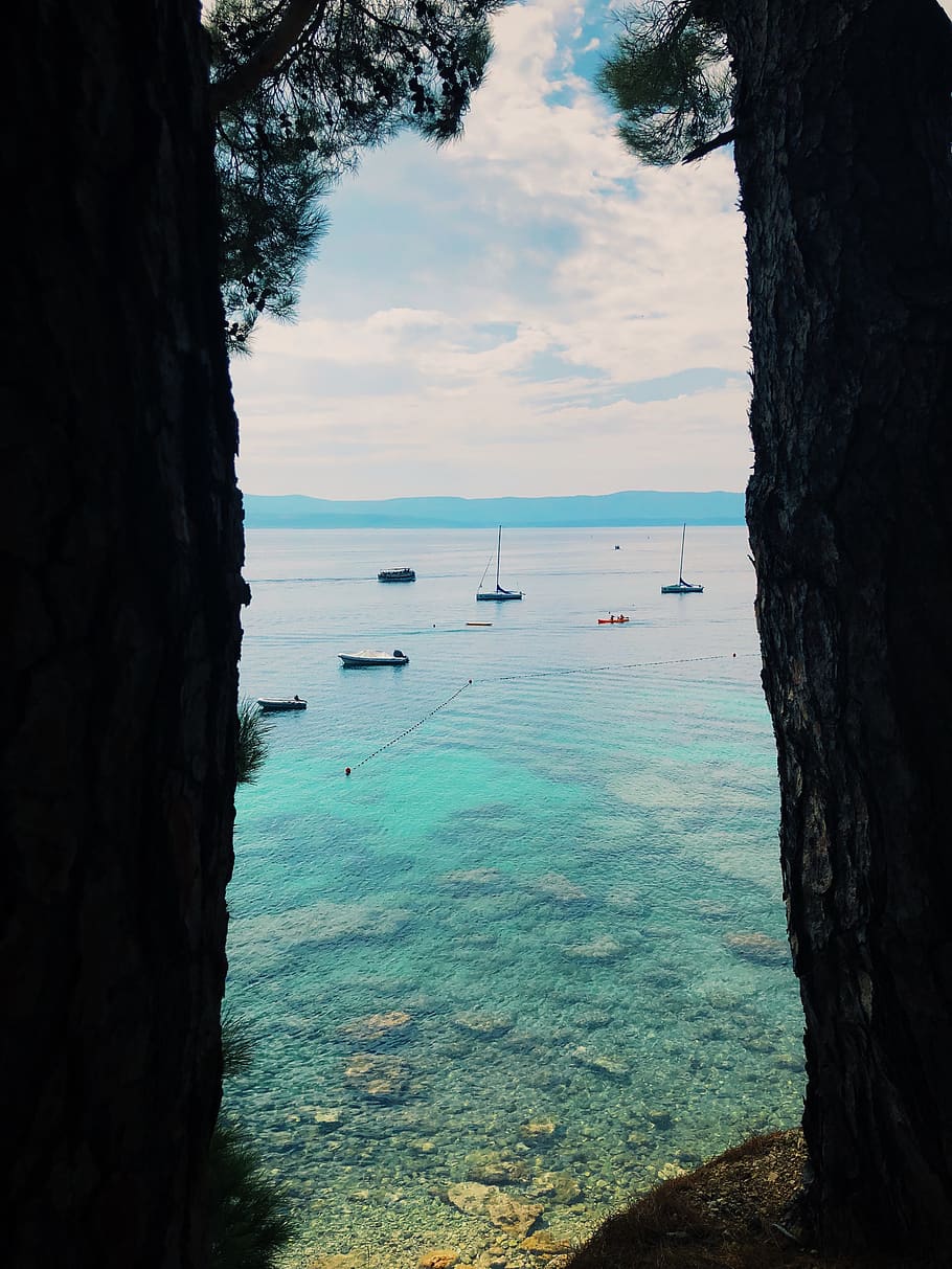 croatia, bol, water, sky, sea, tree, scenics - nature, trunk HD wallpaper