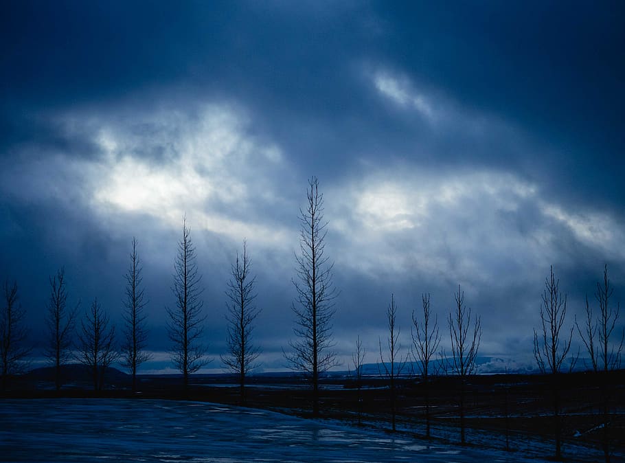 trees, storm, iceland, cloud - sky, environment, plant, nature HD wallpaper