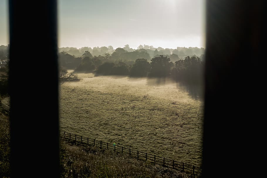 united kingdom, reading, fields, spying, rolling mist, meadow HD wallpaper