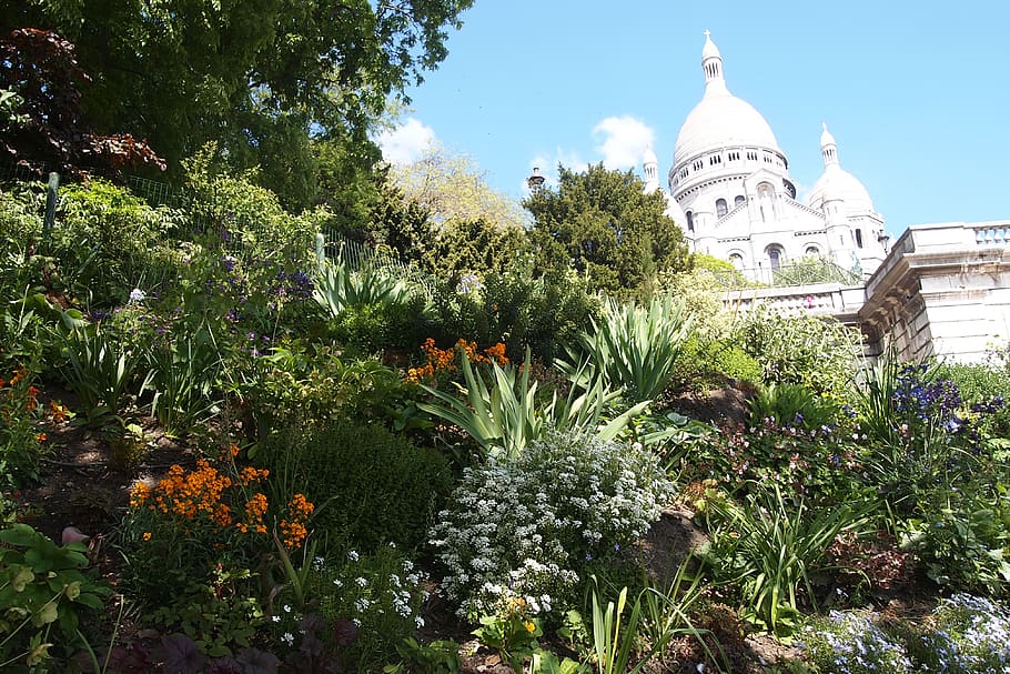 plant, architecture, building, dome, outdoors, agavaceae, blossom HD wallpaper