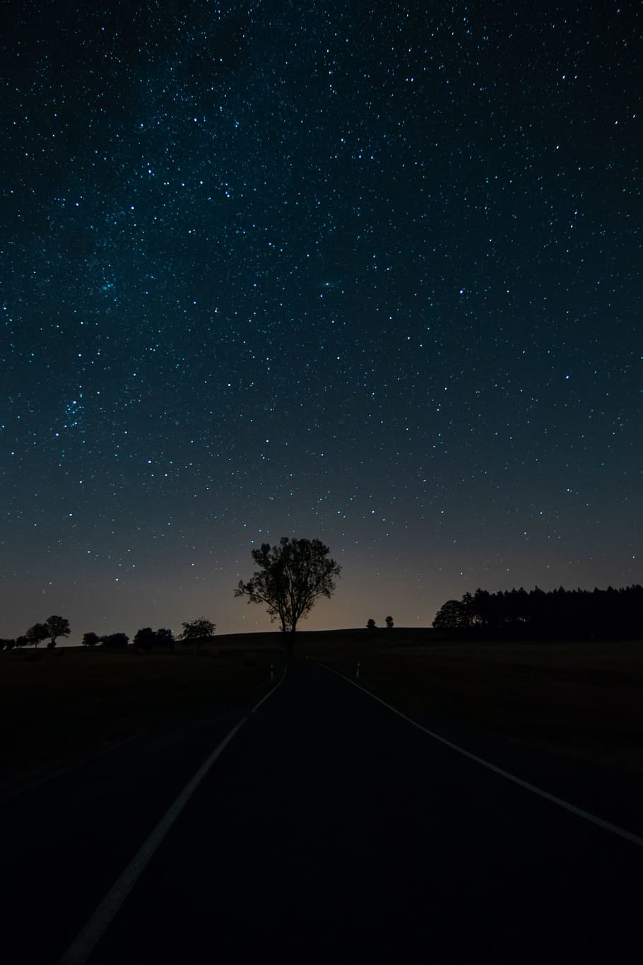 silhouette of road, tree, nature, forest, night sky, stars, outdoor HD wallpaper