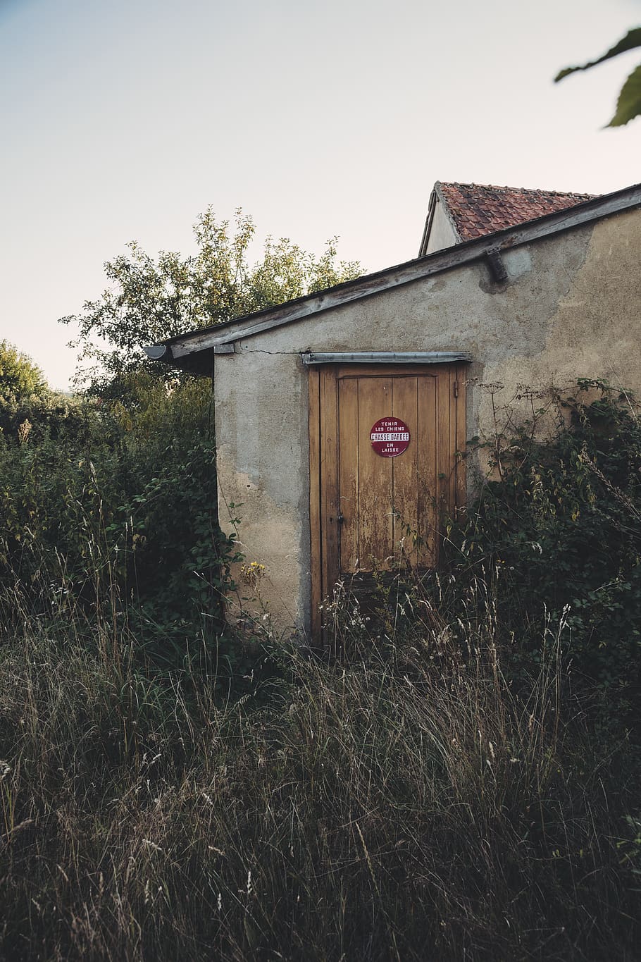 france, yonne, countryside, nature, grass, cabin, abandoned, HD wallpaper