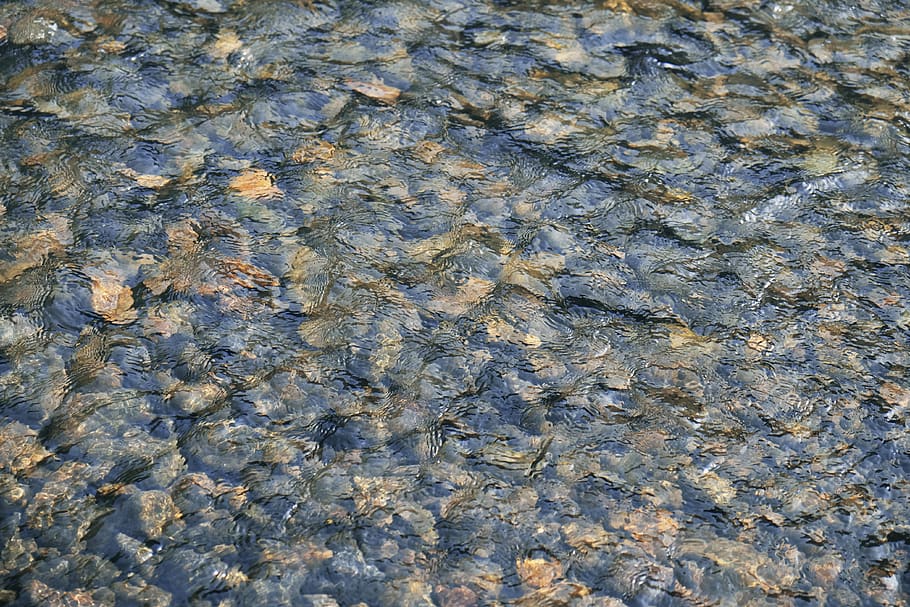 water, river, full frame, backgrounds, no people, day, nature HD wallpaper