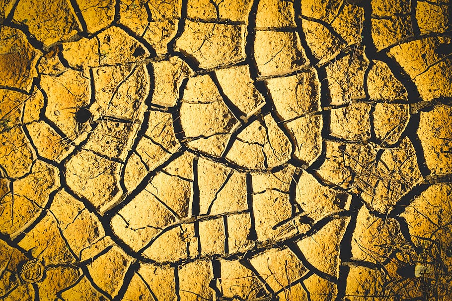 drought, aridity, aridness, dry, crack, texture, surface, ground HD wallpaper