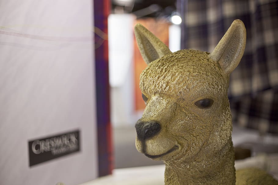 australia, creswick, statue, retail, detail, factory, shop HD wallpaper