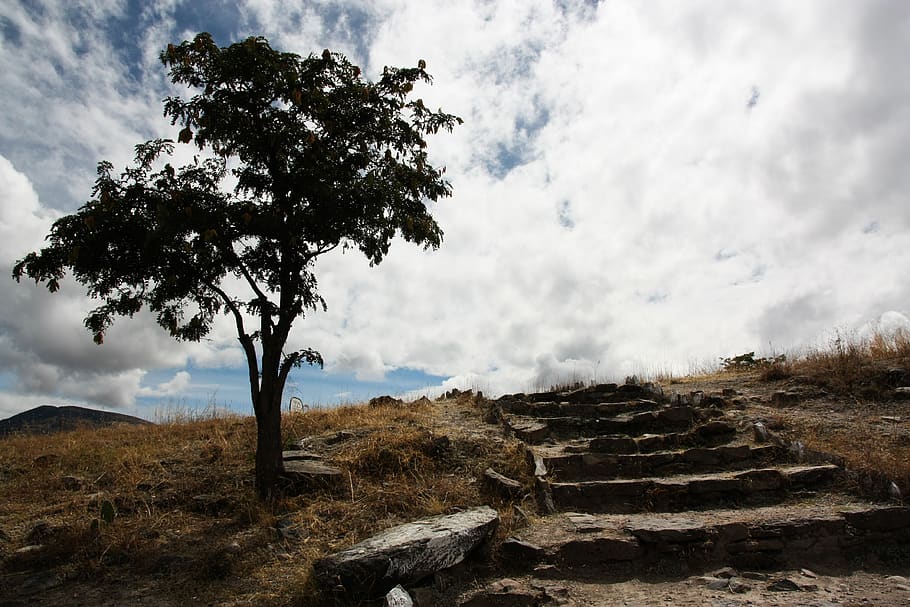peru, tree, steps, stairs, clouds, cloud - sky, plant, nature HD wallpaper