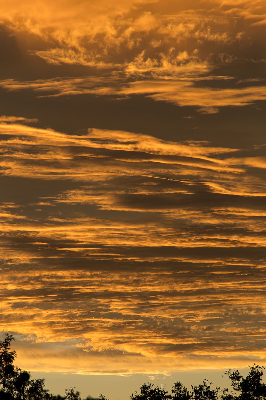 sunset, sky, orange, grey, clouds, layered, horizon, trees HD wallpaper