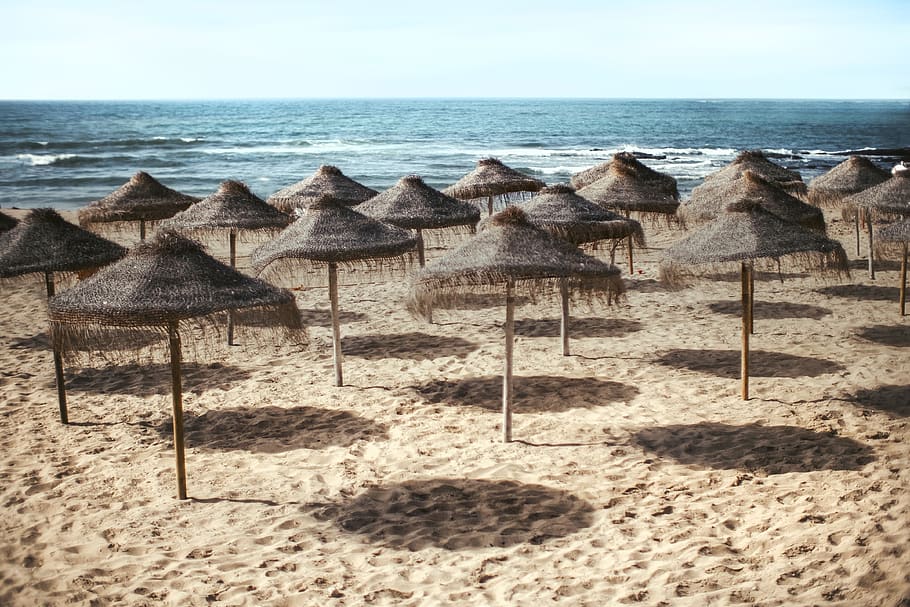 parasol lot on beach, ocean, nature, sea, water, outdoors, shoreline HD wallpaper