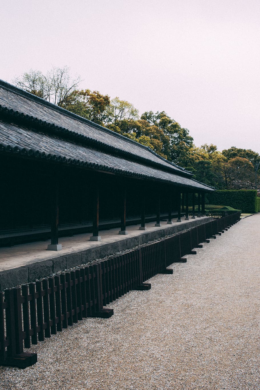 tokyo, japan, forest, temple, architecture, sky, built structure HD wallpaper