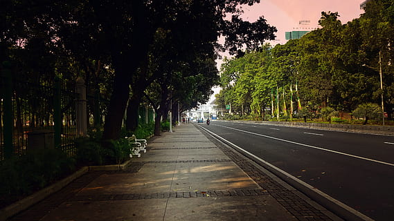 indonesia, jakarta, way, sepia, tree, morning, street, nature HD wallpaper