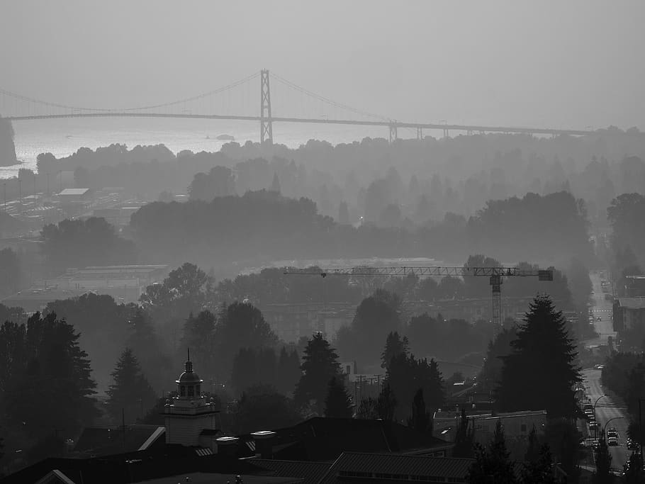 fog, architecture, built structure, tree, transportation, nature HD wallpaper