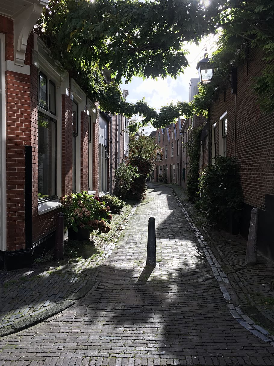 netherlands, haarlem, architecture, built structure, building exterior HD wallpaper
