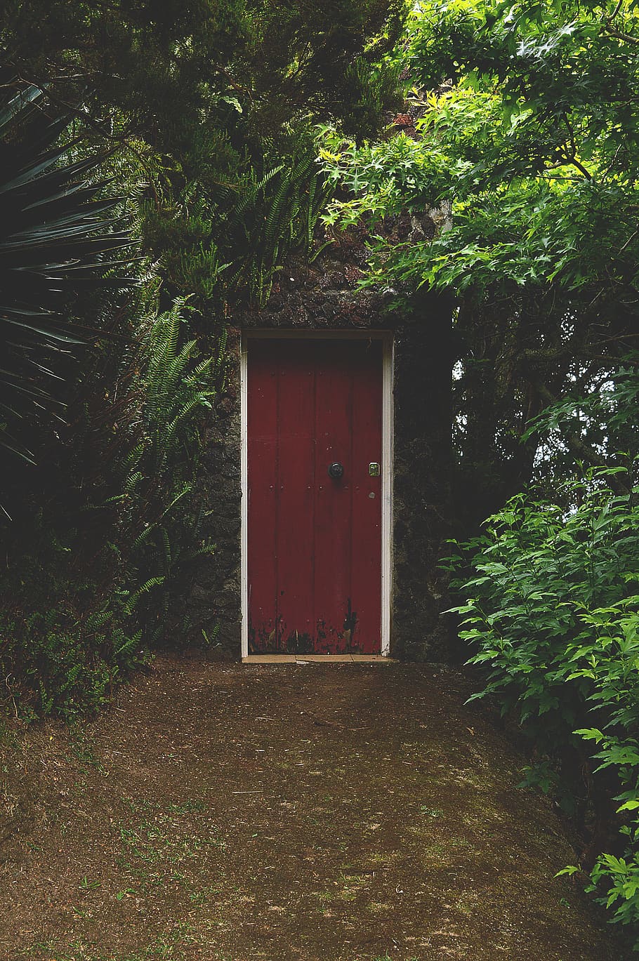 door, red, forest, nature, world, fantasy, old, green, dark, HD wallpaper