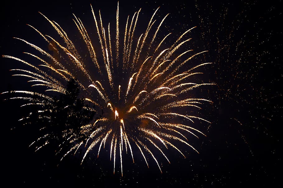 firework displays, sky, night, evening, party, celebration, dark, HD wallpaper