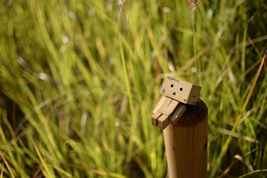 autumn, danbo, doll, figures, loneliness, nyangbo, toy, amazon top, HD wallpaper