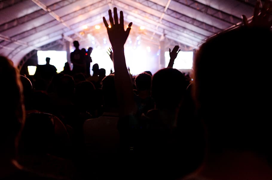 Man Raising His Hands Up, audience, background, backlit, concert HD wallpaper