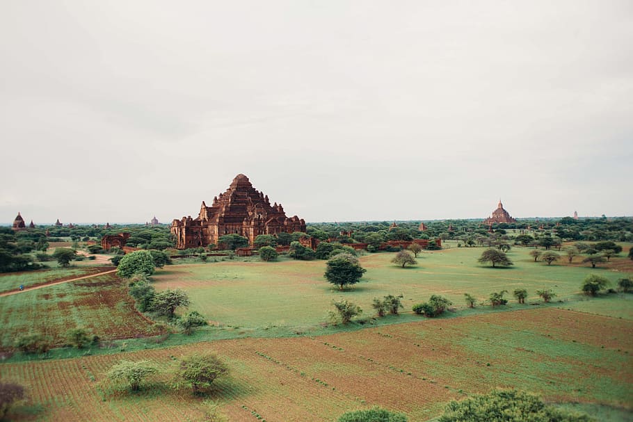 An ancient temples in the forest surrounded by trees, archaeology HD wallpaper