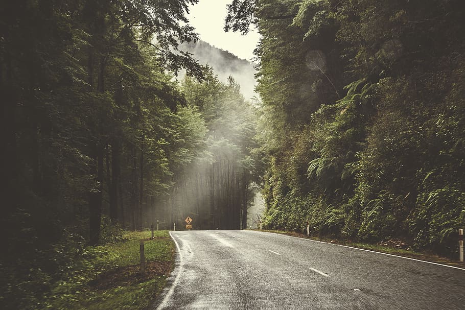 empty gray pavement surrounded by trees, road, transportation HD wallpaper