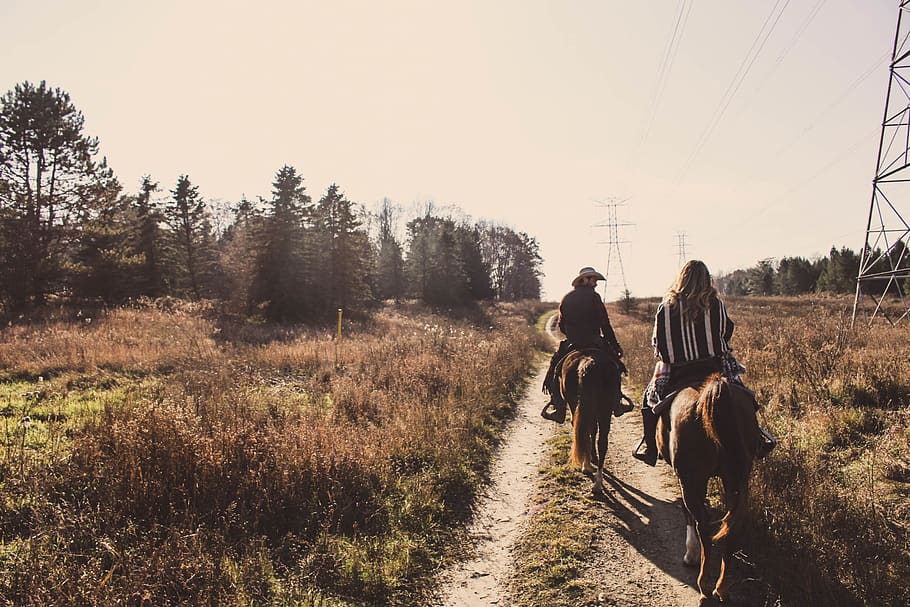 Two Men Riding on Brown Horse, animals, couples, daylight, environment HD wallpaper