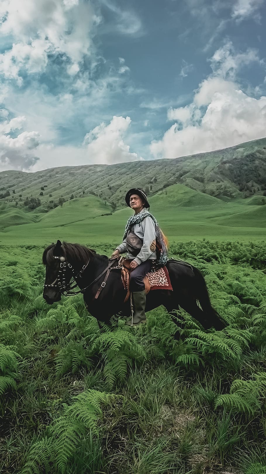 man riding horse, cloud - sky, domestic animals, one person, mammal HD wallpaper