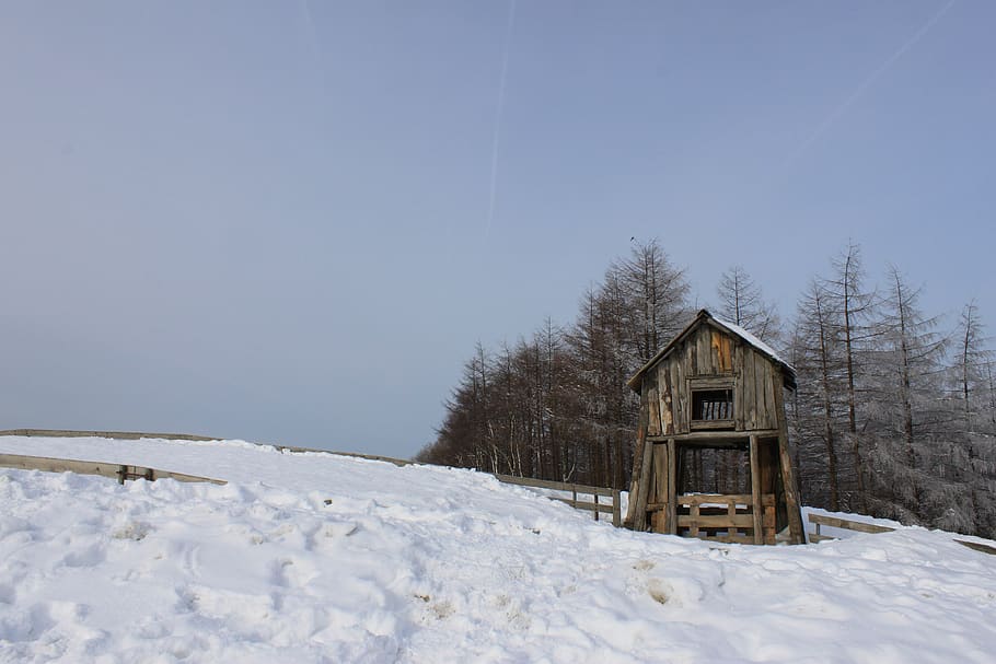 hut, snow, winter, scenery, nature, cattle ranch, daegwallyeong HD wallpaper