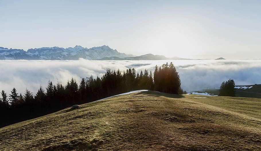 Sea Of Clouds, cold, daylight, grass, landscape, mountain, nature HD wallpaper