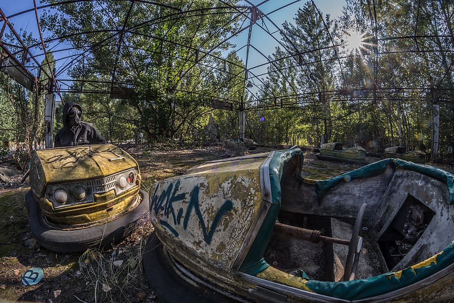 Two Wrecked White and Yellow Bump Cars Surrounded With Trees, HD wallpaper