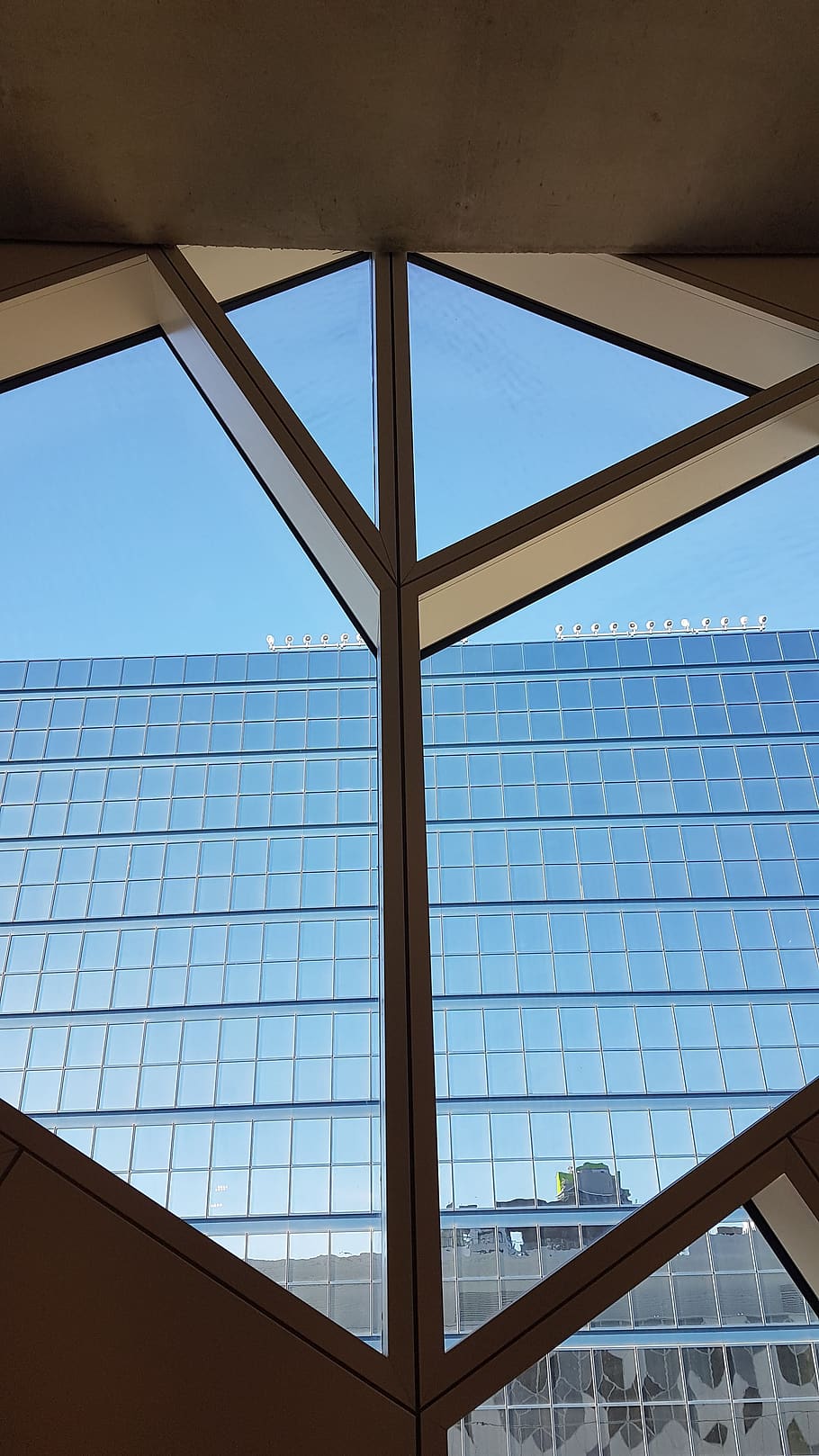 calgary, library, window, city hall, architecture, modern, windows HD wallpaper