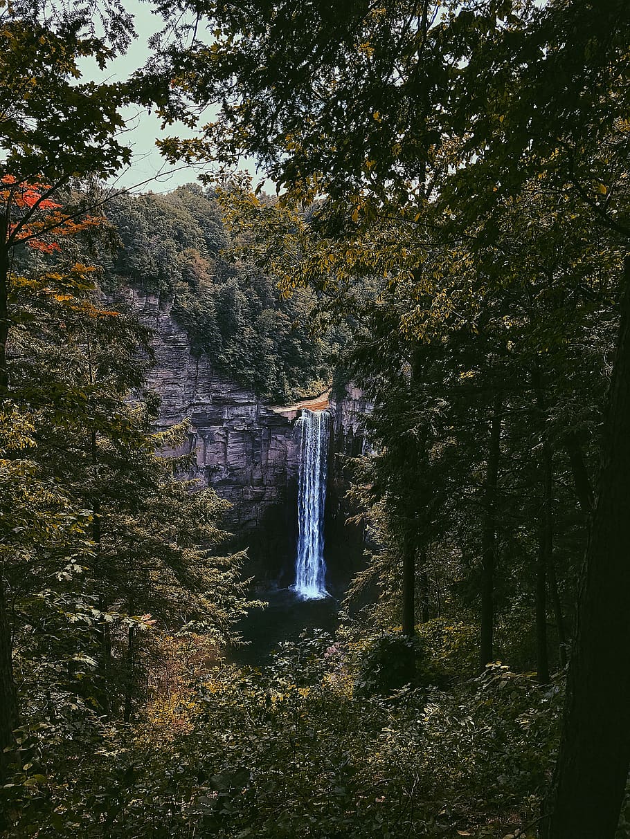 Waterfall on Focus Photography, daylight, environment, forest HD wallpaper