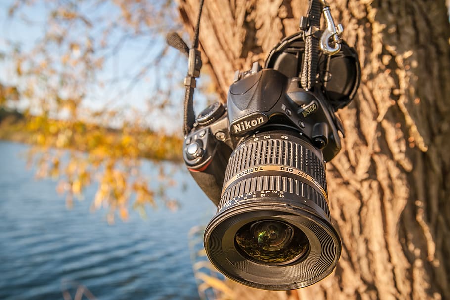 camera, tree, close up, nikon, photo, nature, focus on foreground HD wallpaper