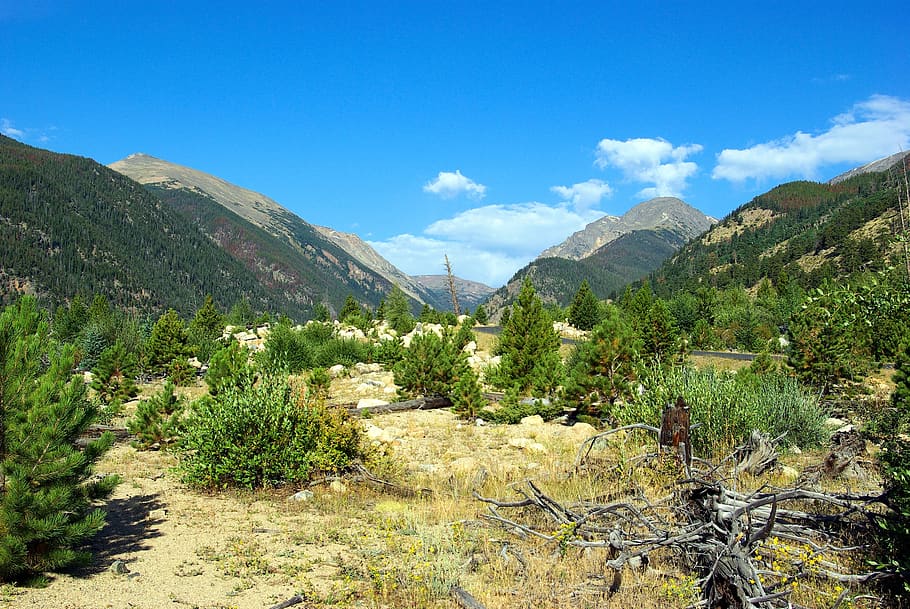 fall river valley, rocky, mountain, national, park, landscape HD wallpaper