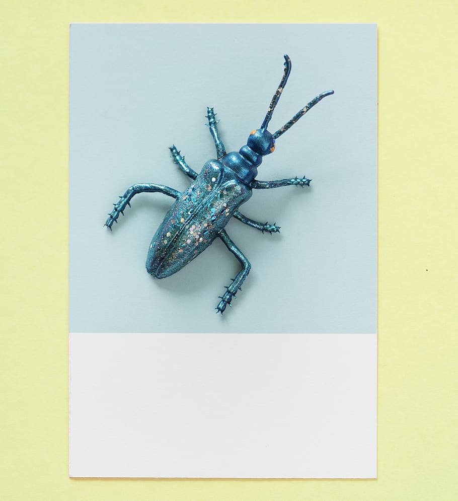 abstract, animal, background, blue, bug, card, colorful, concept