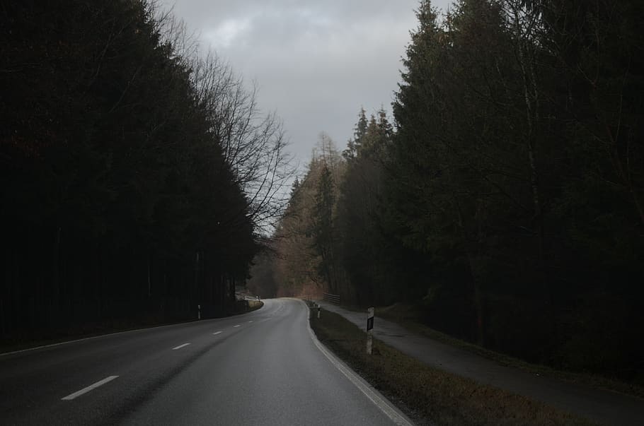 road, way, highway, germany, tarmac, asphalt, tree, fir, plant HD wallpaper