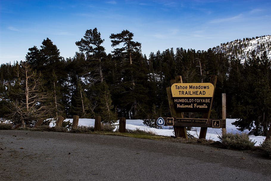 Tohoe Meadows Trailhead Signage, cold, dawn, daylight, environment HD wallpaper