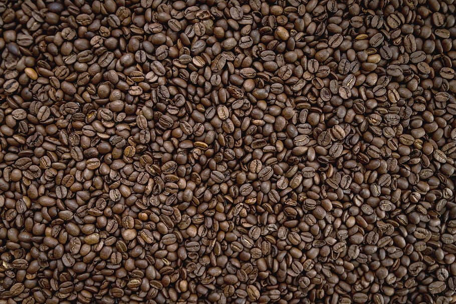 Texture of coffee beans, backgrounds, full frame, food and drink HD wallpaper