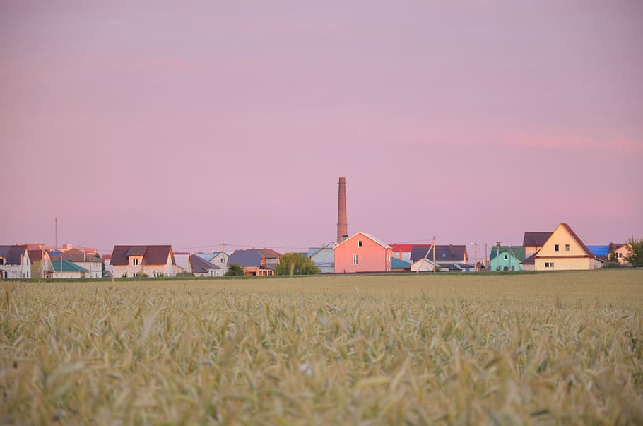 built structure, land, agriculture, architecture, rural scene HD wallpaper