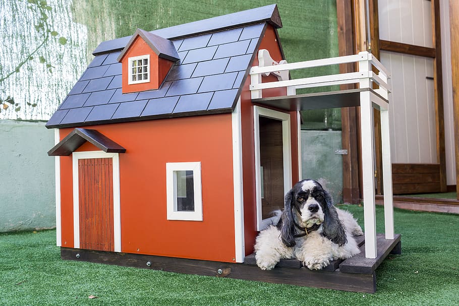 kennels for pets, dog houses, wooden houses for dogs, animals, HD wallpaper