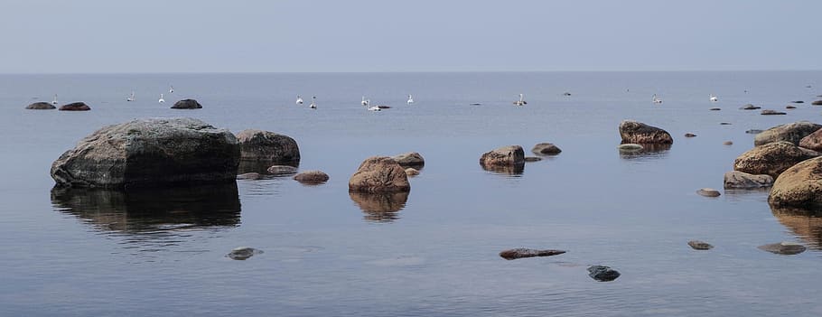 Photography of Brown Rocks Near Body of Water at Daytime, beach HD wallpaper