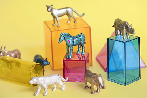 Assorted-color Animal Figurine Collection, animals, boxes, close-up HD wallpaper