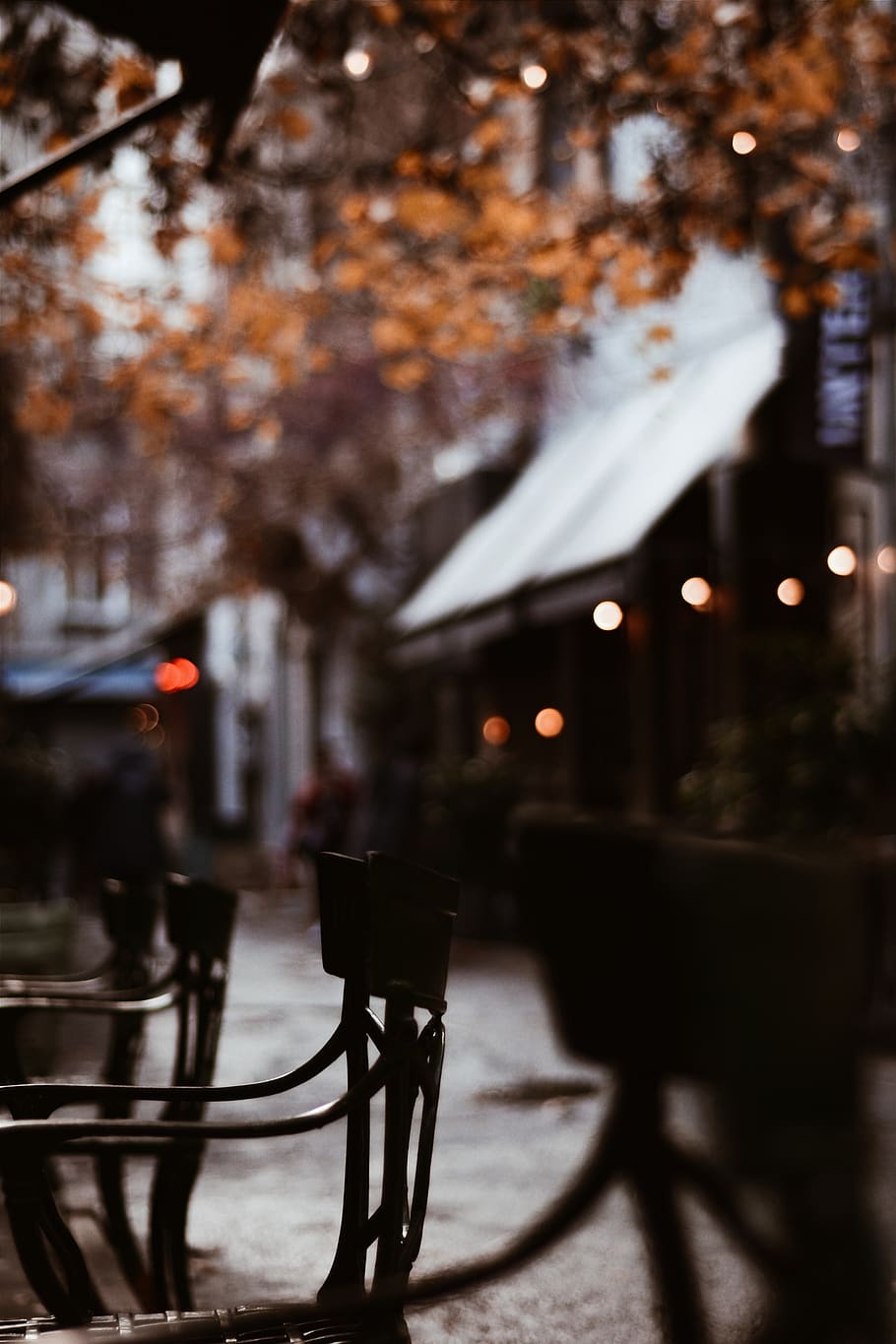 Black Metal Armchairs Under Brown Tree, architecture, dark, fall HD wallpaper
