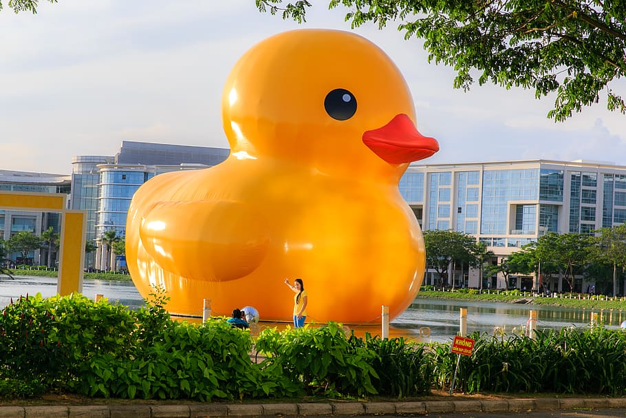 Large Yellow Duckling Floating on Pond, architecture, art, building, HD wallpaper