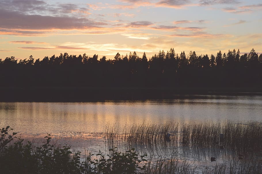 sweden, forest, trees, sunset, outside, lake, nature, water HD wallpaper
