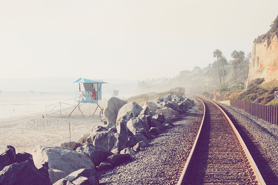 united states, san clemente, calafia park, trees, palm, vsco, HD wallpaper