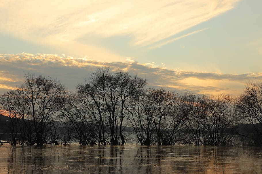 wallpapers, twilight, tower lakes, winter tree, winter landscapes HD wallpaper